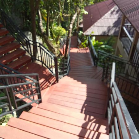 Pawpaw Resort Παραλία Λαμάι Εξωτερικό φωτογραφία