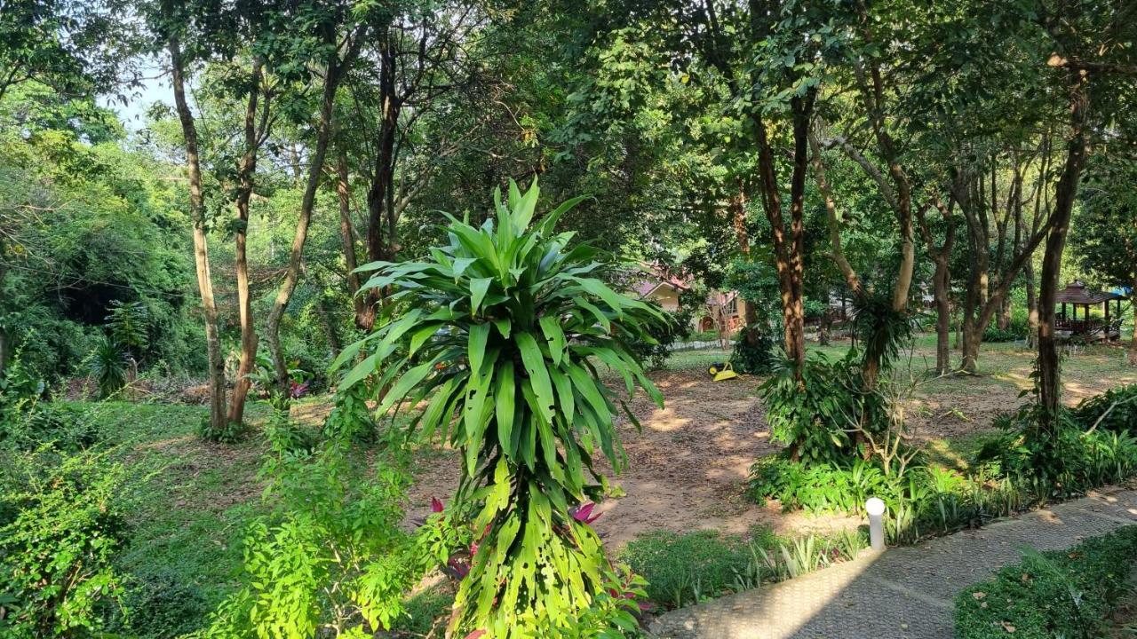 Pawpaw Resort Παραλία Λαμάι Εξωτερικό φωτογραφία